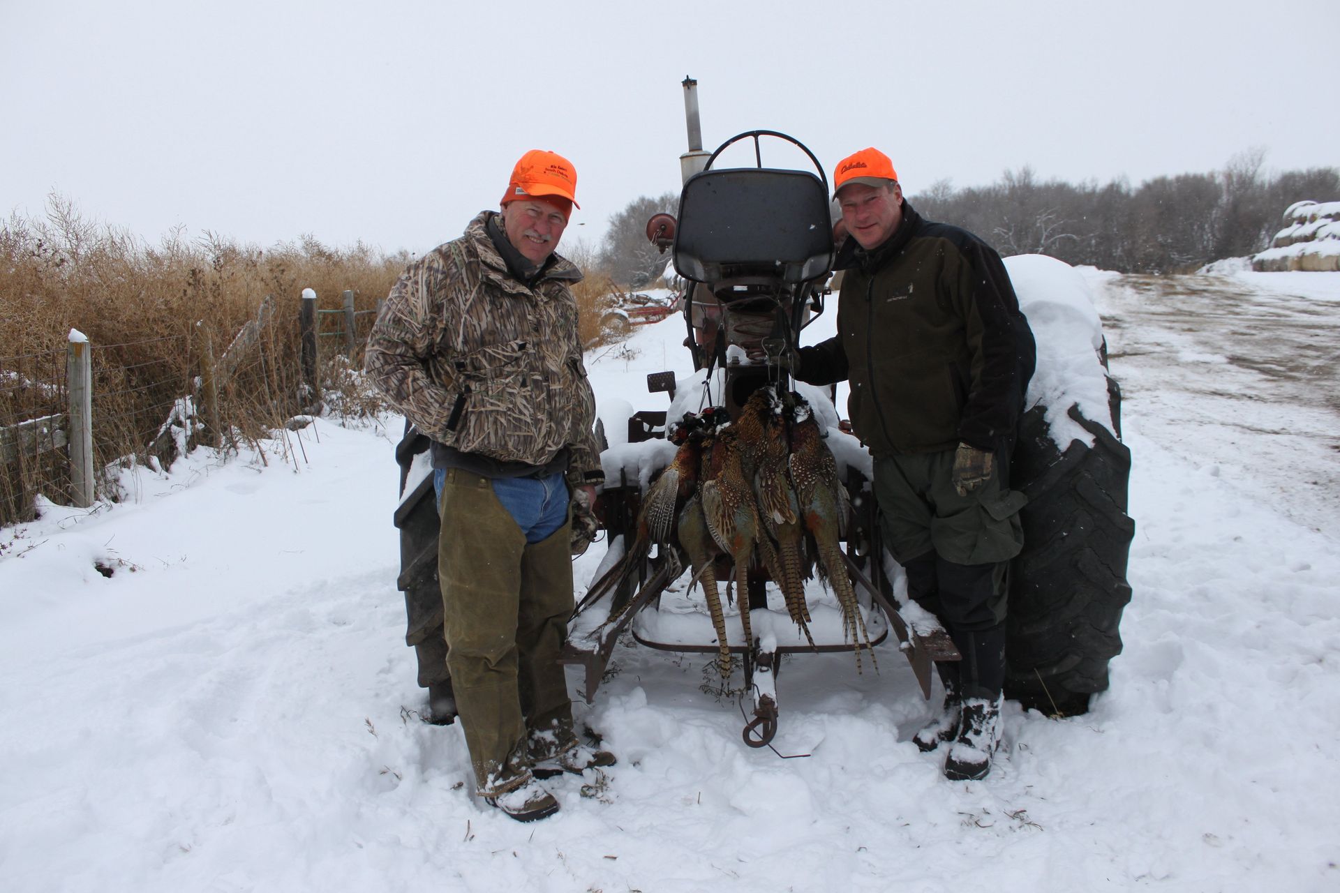 South Dakota Pheasant Hunt Photo Gallery Mitchell, SD